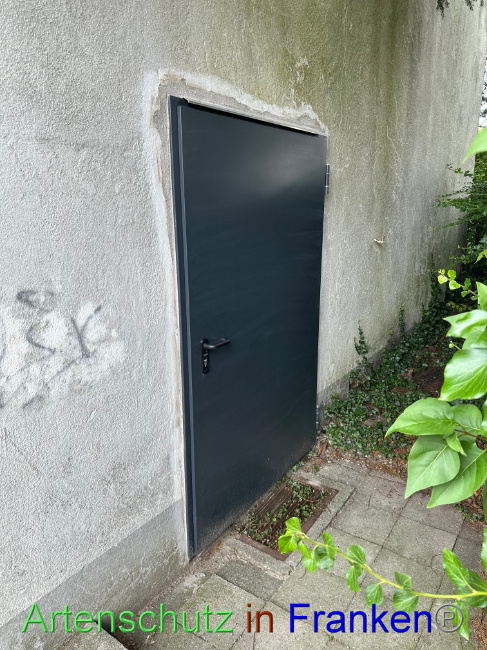 © Artenschutz in Franken® Bild zum Eintrag (1090244-160)