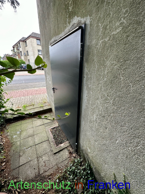 © Artenschutz in Franken® Bild zum Eintrag (1090245-160)