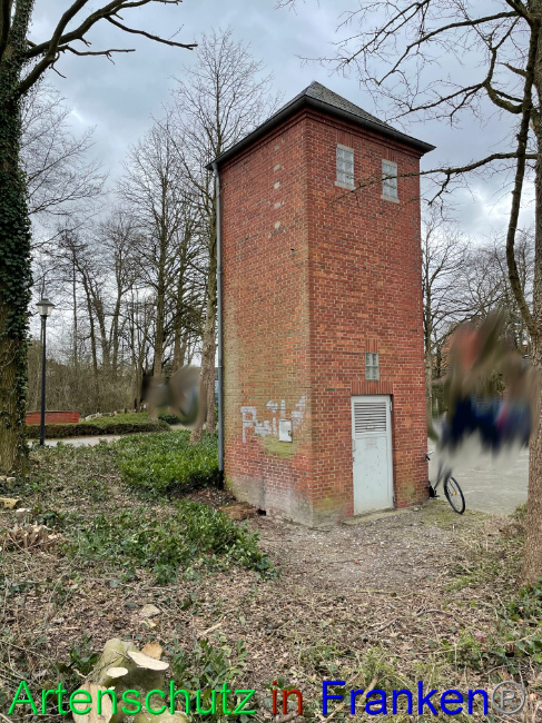 © Artenschutz in Franken® / Vehoff Bild zum Eintrag (1090311-160)