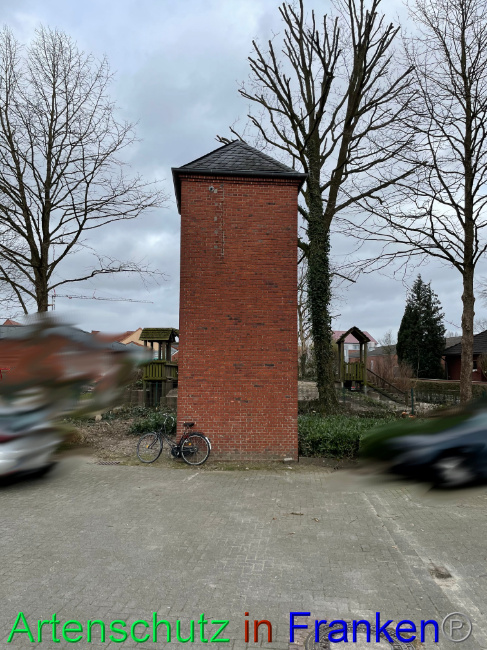 © Artenschutz in Franken® / Vehoff Bild zum Eintrag (1090313-160)