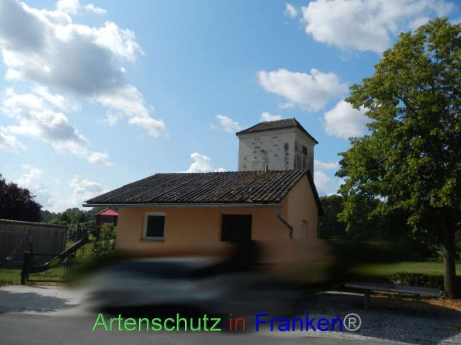 Bild zum Eintrag (1090351-160)