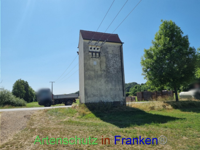 © Artenschutz in Franken® Bild zum Eintrag (1090362-160)