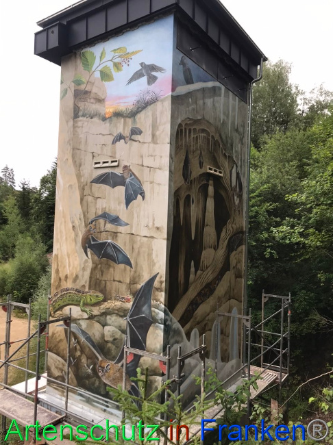 © Artenschutz in Franken® Bild zum Eintrag (1090466-160)