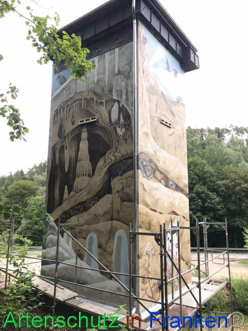 © Artenschutz in Franken® Bild zum Eintrag (1090469-160)