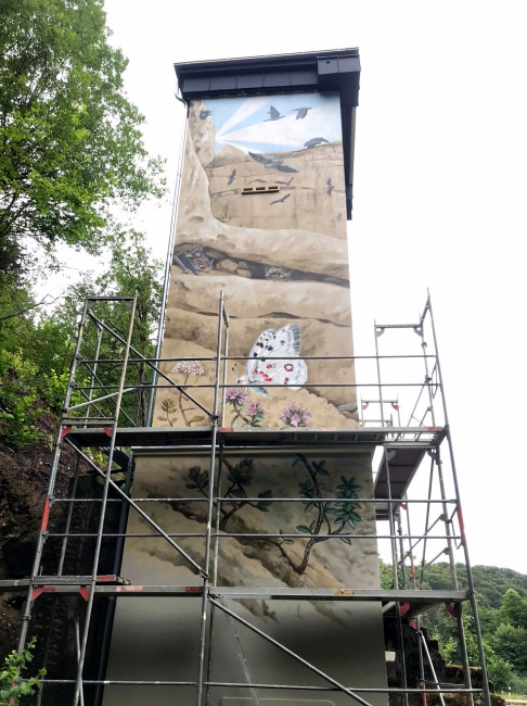 © Artenschutz in Franken® Bild zum Eintrag (1090470-160)