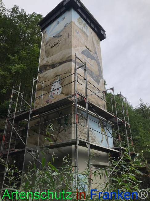 © Artenschutz in Franken® Bild zum Eintrag (1090472-160)