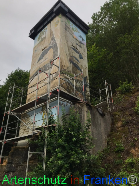 © Artenschutz in Franken® Bild zum Eintrag (1090473-160)