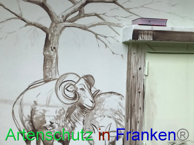© Artenschutz in Franken® Bild zum Eintrag (1090643-160)
