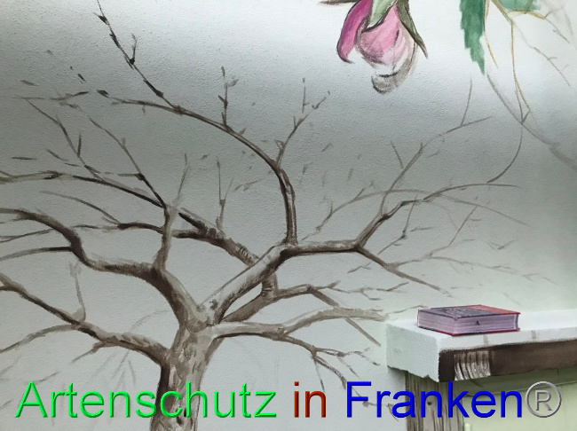 © Artenschutz in Franken® Bild zum Eintrag (1090644-160)