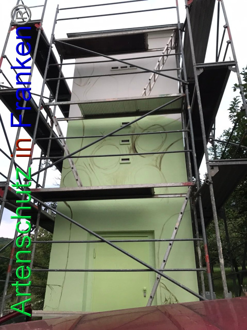 © Artenschutz in Franken® Bild zum Eintrag (1090645-160)