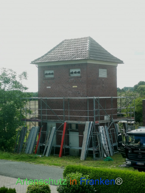 © Artenschutz in Franken® Bild zum Eintrag (1090724-160)