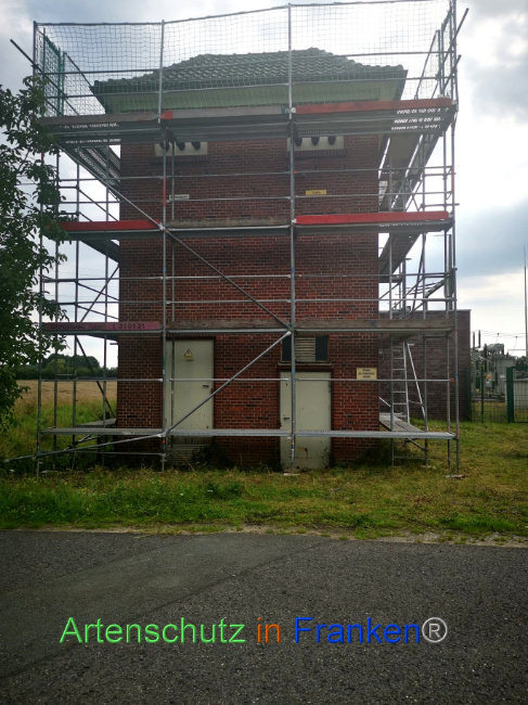 © Artenschutz in Franken® Bild zum Eintrag (1090727-160)