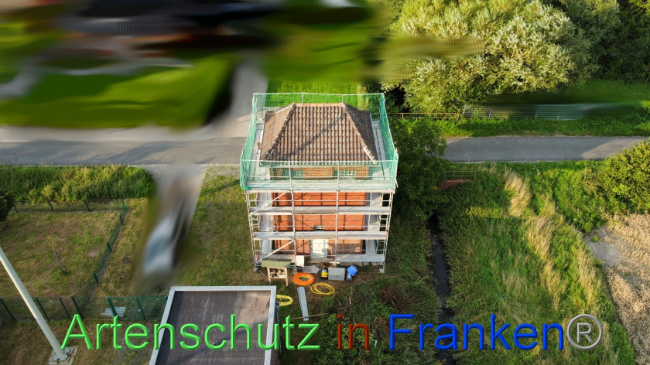 © Artenschutz in Franken® / Vehoff Bild zum Eintrag (1090929-160)