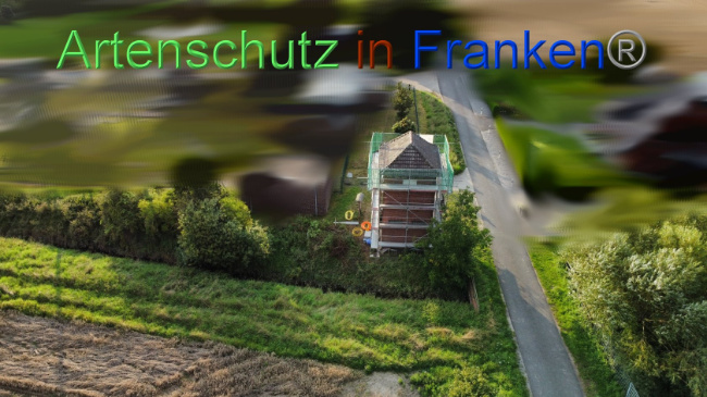 © Artenschutz in Franken® / Vehoff Bild zum Eintrag (1090930-160)