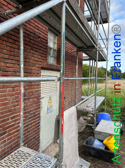 © Artenschutz in Franken® / Vehoff Bild zum Eintrag (1090943-160)