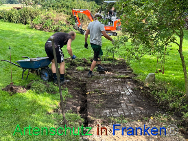 © Artenschutz in Franken® / Vennemann Bild zum Eintrag (1091022-160)