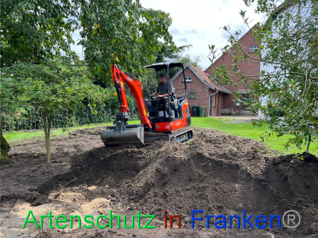 © Artenschutz in Franken® / Vennemann Bild zum Eintrag (1091030-160)
