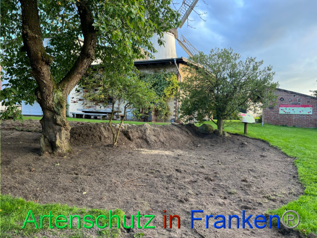 © Artenschutz in Franken® / Vennemann Bild zum Eintrag (1091036-160)