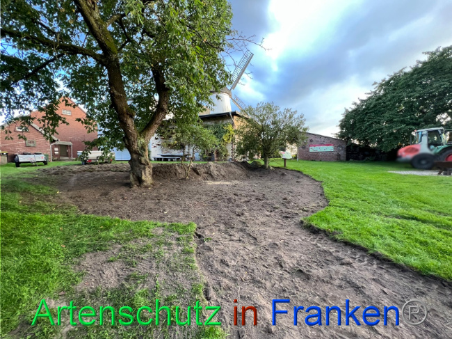 © Artenschutz in Franken® / Vennemann Bild zum Eintrag (1091037-160)