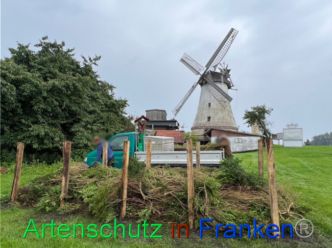 © Artenschutz in Franken® / Vennemann Bild zum Eintrag (1091038-160)