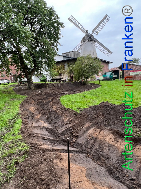 © Artenschutz in Franken® / Vennemann Bild zum Eintrag (1091044-160)