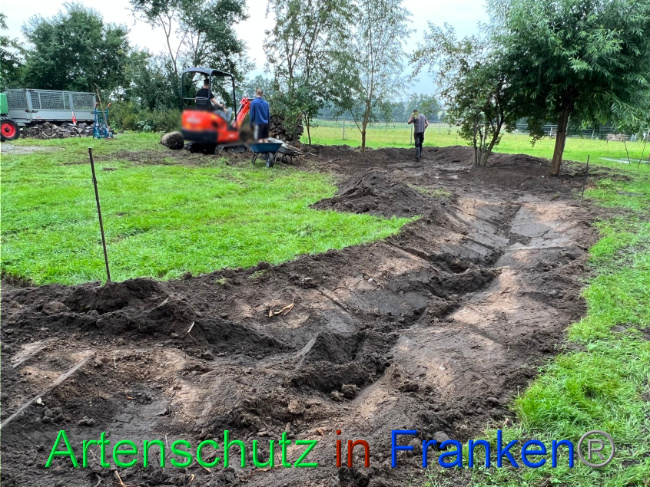 © Artenschutz in Franken® Bild zum Eintrag (1091045-160)