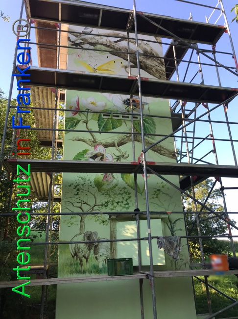 © Artenschutz in Franken® Bild zum Eintrag (1091176-160)