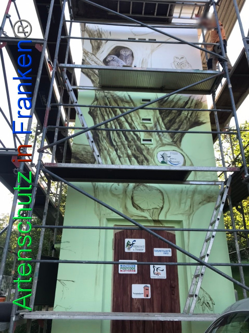 © Artenschutz in Franken® Bild zum Eintrag (1091177-160)