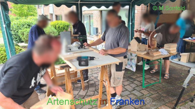 © Artenschutz in Franken® / Michael Sonfeld Bild zum Eintrag (1091340-160)