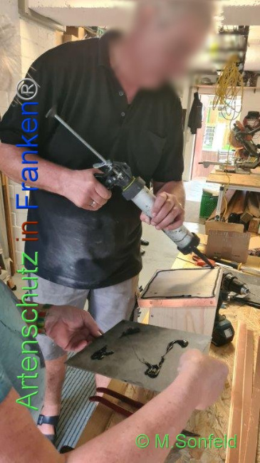 © Artenschutz in Franken® / Michael Sonfeld Bild zum Eintrag (1091341-160)
