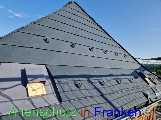 © Artenschutz in Franken® Bild zum Eintrag (1091510-160)