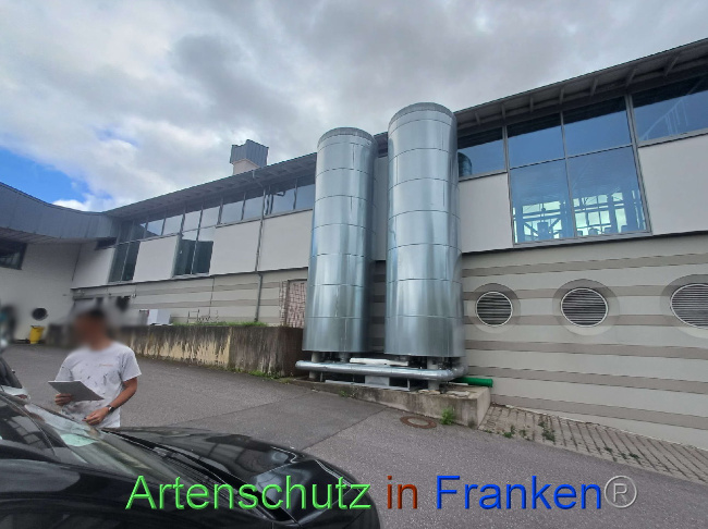 © Artenschutz in Franken® Bild zum Eintrag (1091605-160)