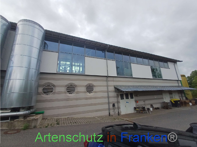 © Artenschutz in Franken® Bild zum Eintrag (1091606-160)