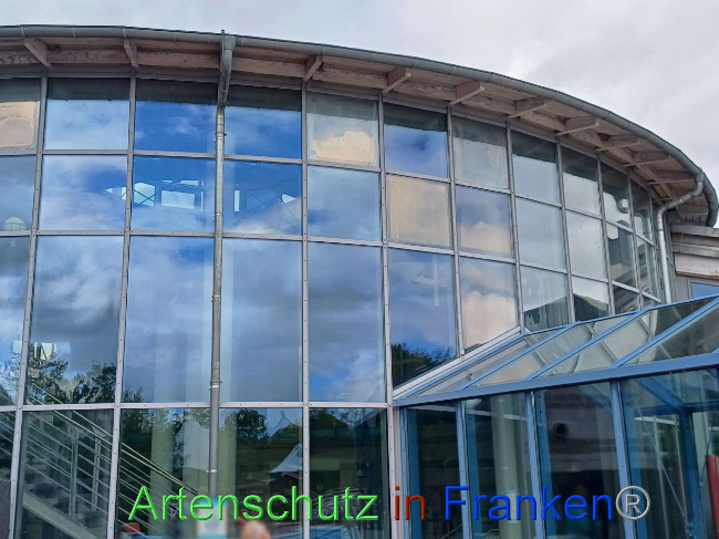 © Artenschutz in Franken® Bild zum Eintrag (1091607-160)