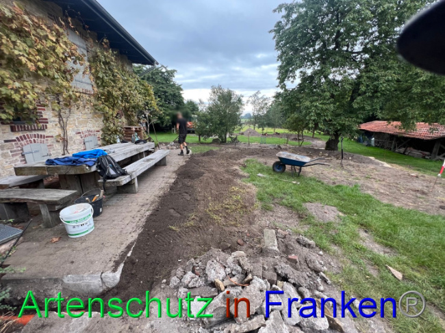 © Artenschutz in Franken® / Vennemann Bild zum Eintrag (1091637-160)
