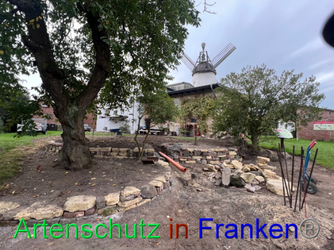 © Artenschutz in Franken® / Vennemann Bild zum Eintrag (1091640-160)
