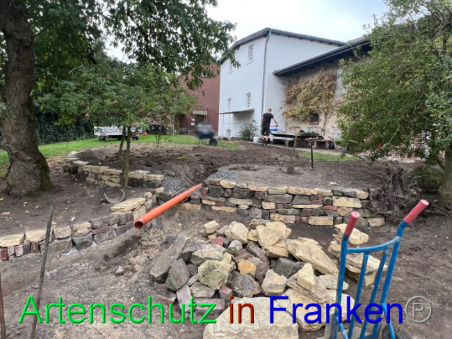 © Artenschutz in Franken® / Vennemann Bild zum Eintrag (1091641-160)