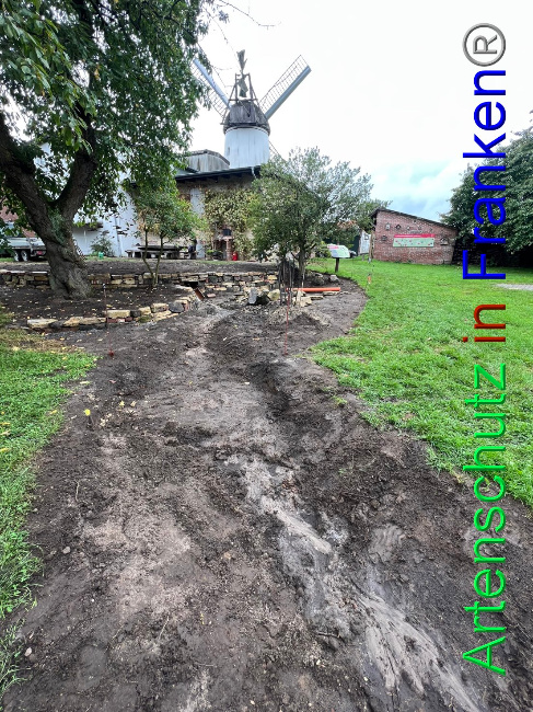 Bild zum Eintrag (1091645-160)