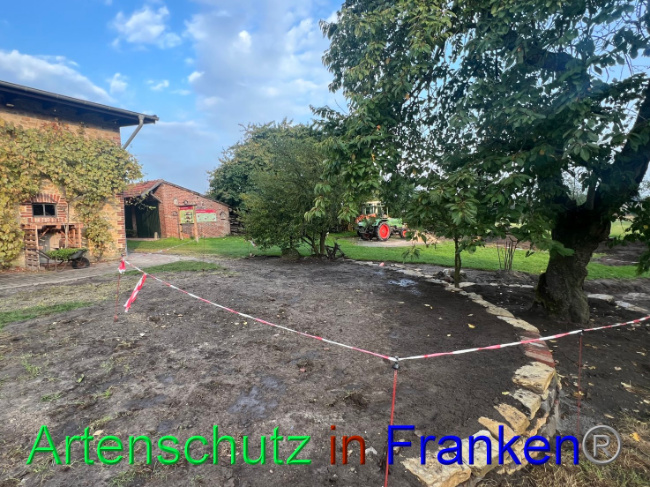 © Artenschutz in Franken® / Vennemann Bild zum Eintrag (1091648-160)