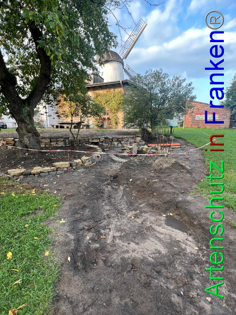 © Artenschutz in Franken® / Vennemann Bild zum Eintrag (1091649-160)