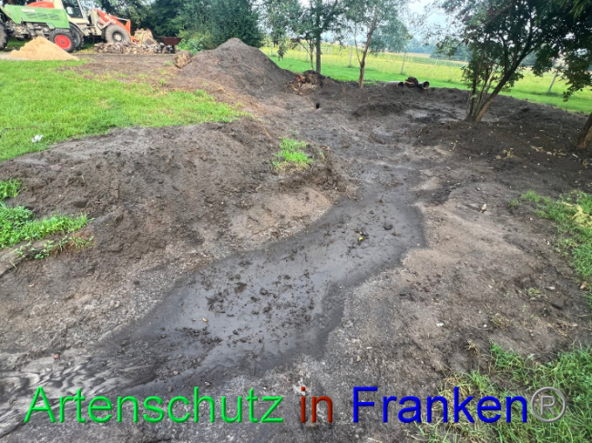 © Artenschutz in Franken® / Vennemann Bild zum Eintrag (1091650-160)