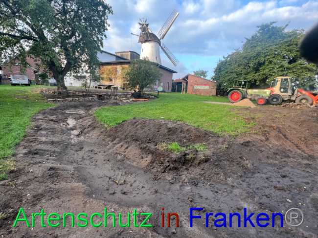 © Artenschutz in Franken® / Vennemann Bild zum Eintrag (1091655-160)
