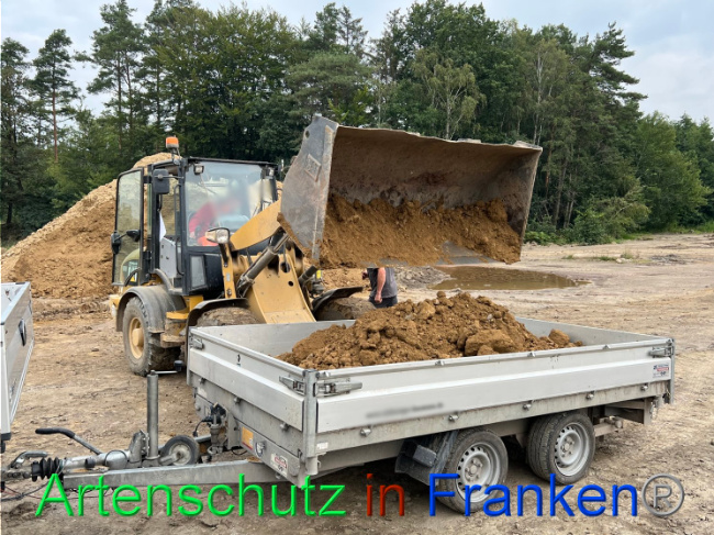 © Artenschutz in Franken® / Vennemann Bild zum Eintrag (1091793-160)