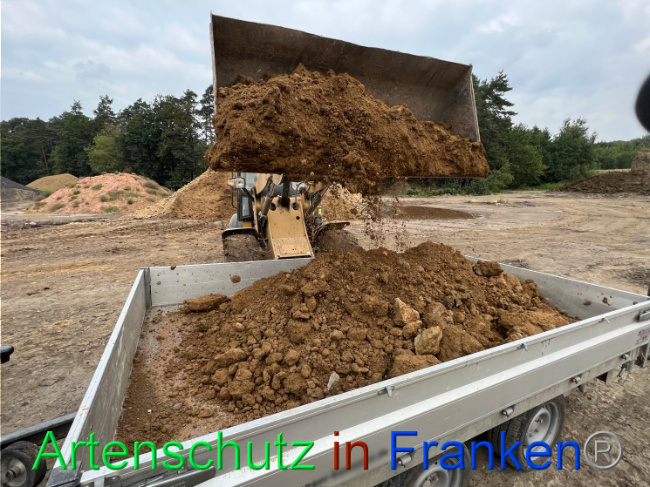 © Artenschutz in Franken® / Vennemann Bild zum Eintrag (1091796-160)