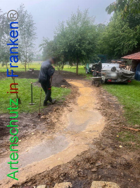 © Artenschutz in Franken® / Vennemann Bild zum Eintrag (1091804-160)