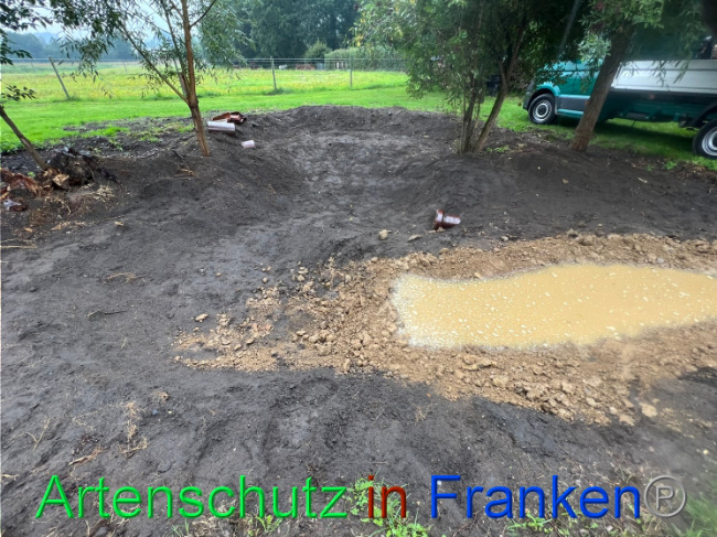 © Artenschutz in Franken® / Vennemann Bild zum Eintrag (1091806-160)