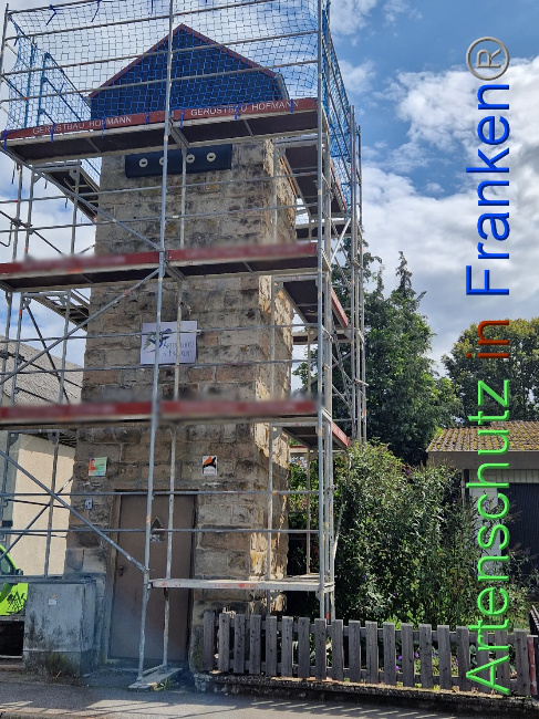 Bild zum Eintrag (1091822-160)