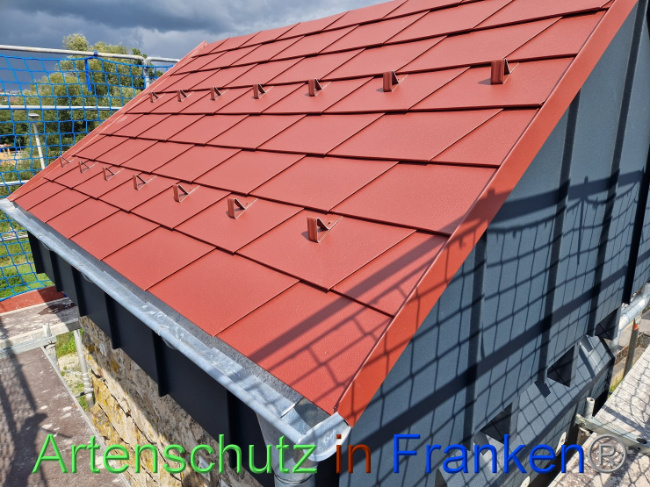 © Artenschutz in Franken® Bild zum Eintrag (1091831-160)