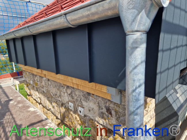 © Artenschutz in Franken® Bild zum Eintrag (1091832-160)