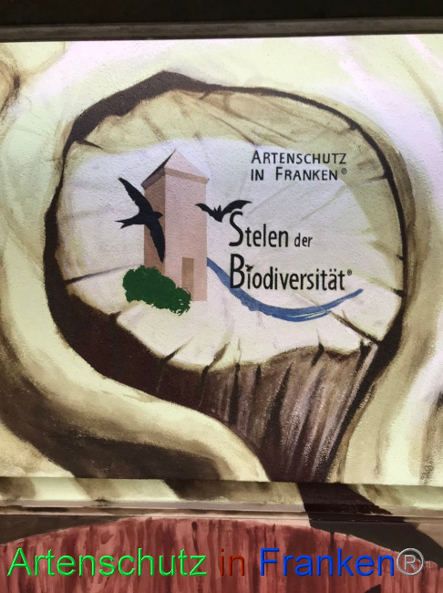 © Artenschutz in Franken® Bild zum Eintrag (1091869-160)
